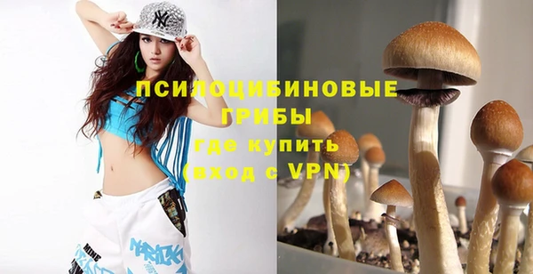 эйфоретик Осинники