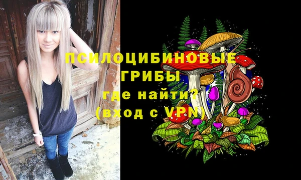дмт Пестово