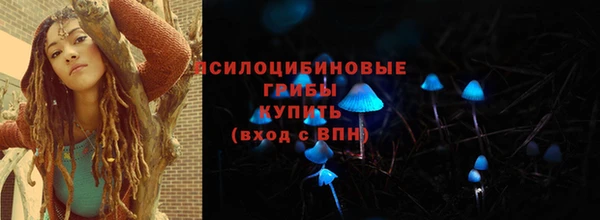эйфоретик Осинники